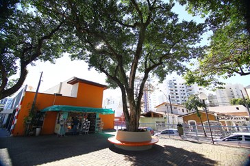 Revitalização da praça Elizeth Cardoso, na Vila Adhyanna, através do programa Minha Praça de Volta. Foto: Claudio Vieira/PMSJC. 14-08-2018