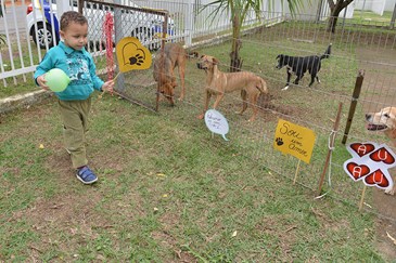 Feira de Adoção de Animais no CCZ  25 08 2018