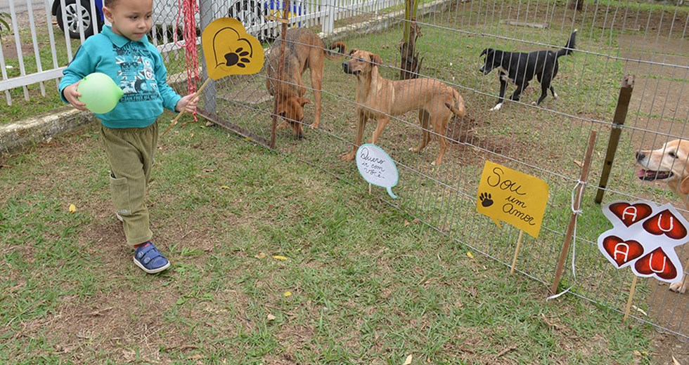 Feira de Adoção de Animais no CCZ  25 08 2018