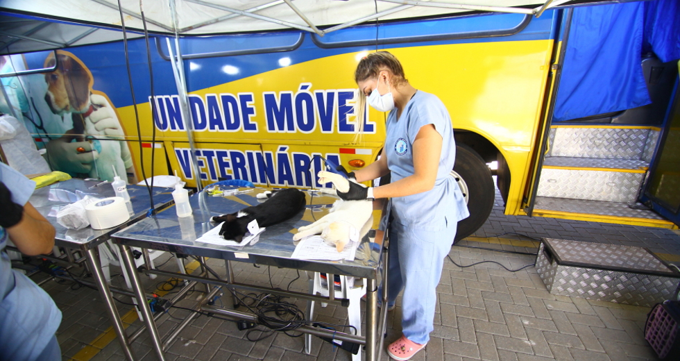 cv__0052_claudio_vieira.jpg