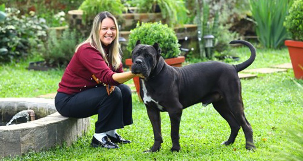 40ª fase do Meu Pet Feliz