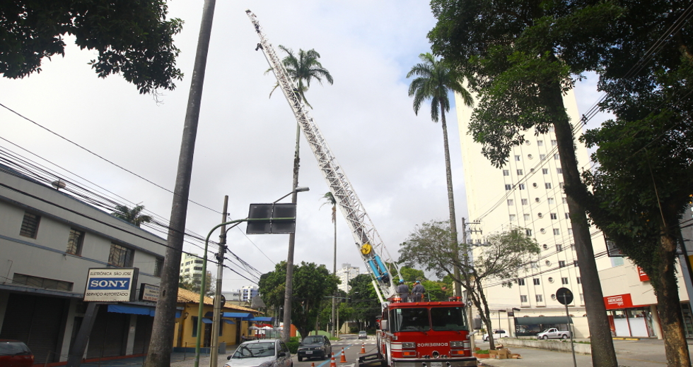 controle-de_pragas-36-claudio_vieira.jpg