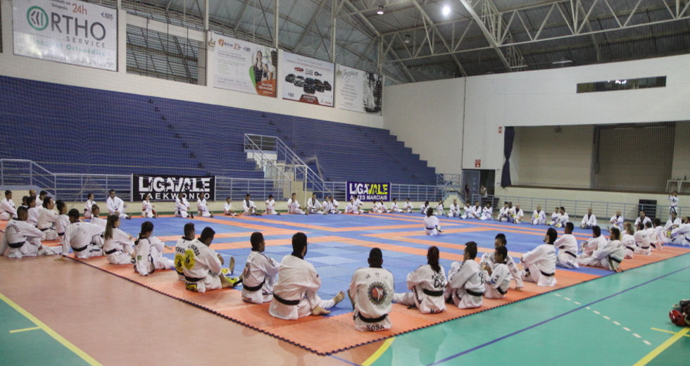3_training_camp_taekwondo_embraeimg_6794beto_faria.jpg