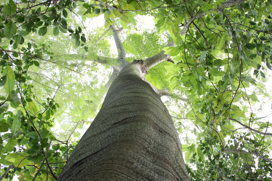 semana-do-meio-ambiente-2019_5.jpg
