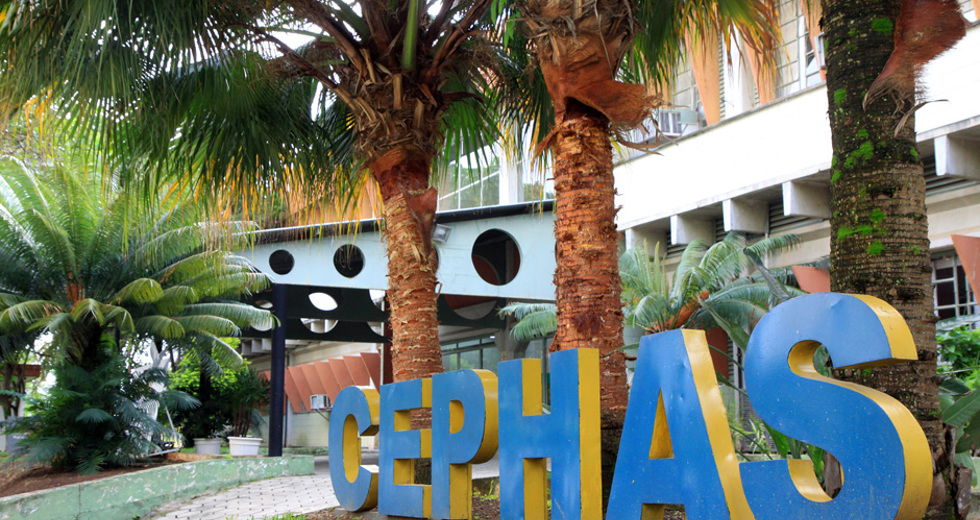 inicio_aulas_cephas-27_beto_freitas.jpg