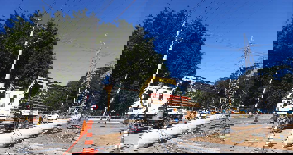 lineu6.jpeg