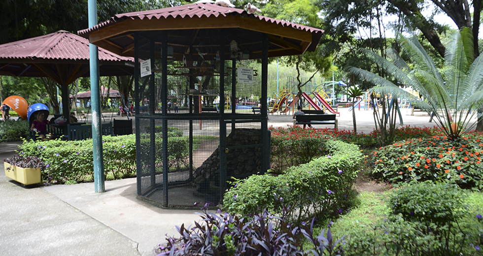 paisagismo-parque-santos-dumont-12-12-2019-lucas-cabral-23.jpg