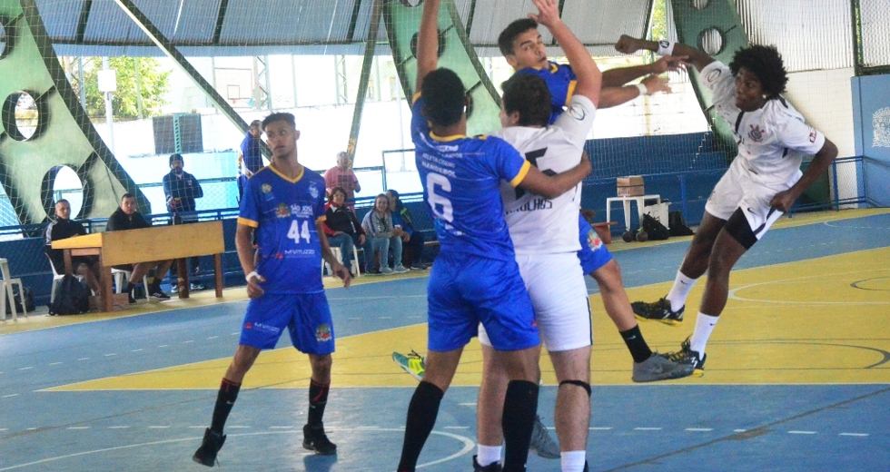 tmf_3767.jpg