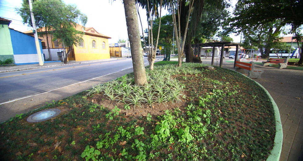 cv__3157_claudio_vieira.jpg