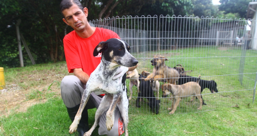 ccz_animais_adoc-a-o-12-claudio_vieira.jpg