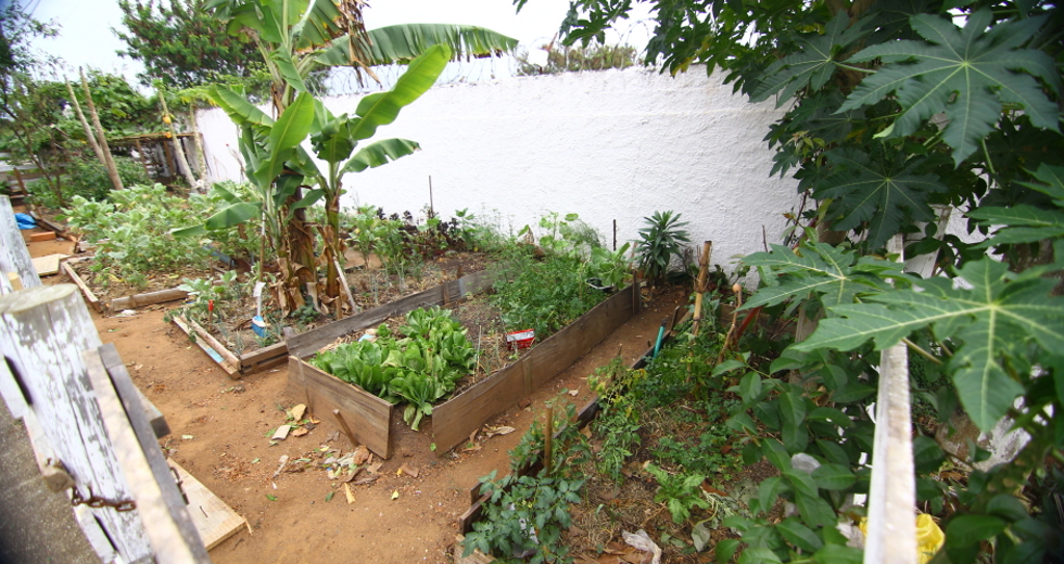 cv__0498_claudio_vieira.jpg
