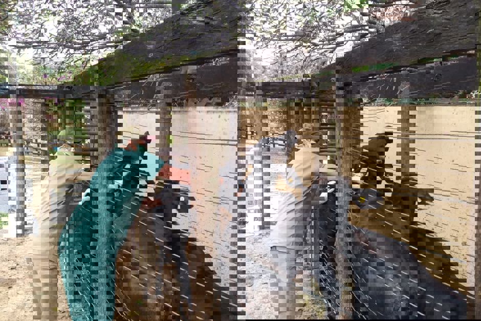 b8d8ce9b-af3f-4d0a-bb5e-757c79f55c08.jpg