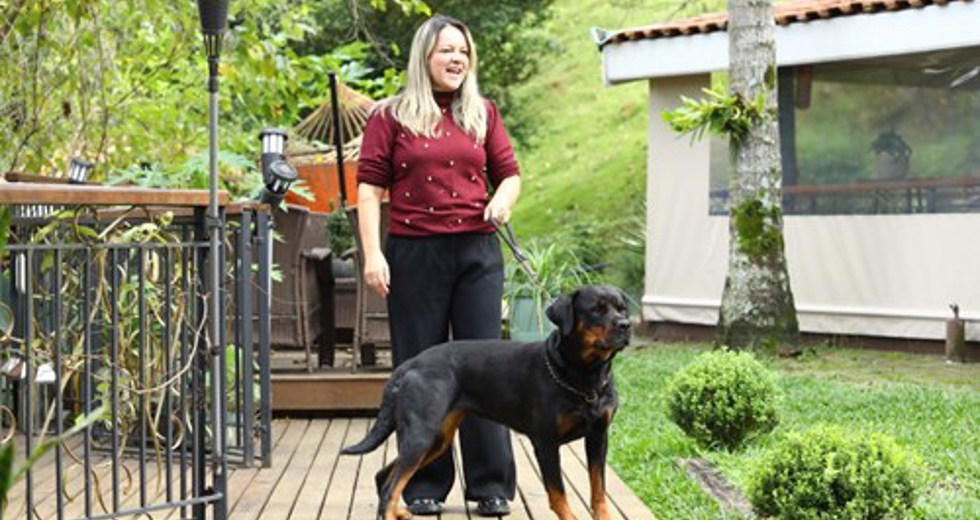 40ª fase do Meu Pet Feliz