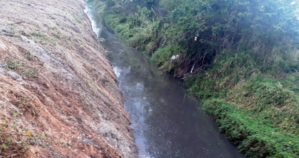  Limpeza do Córrego Cambuí