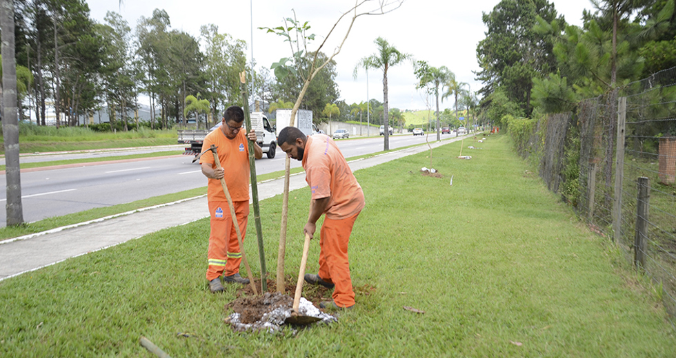 plantio-de-arvores-via-norte-20-12-2019-lucas-cabral-19.jpg