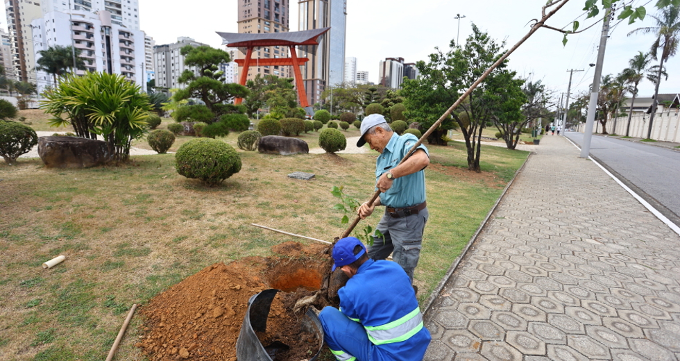 Plantio no jardim do Tori com comunidade japonesa. Foto: Claudio Vieira/PMSJC 04-10-2025