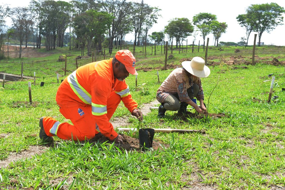 Funcionários da Urbam vivenciam a experiência de plantar árvores 21 09 2018