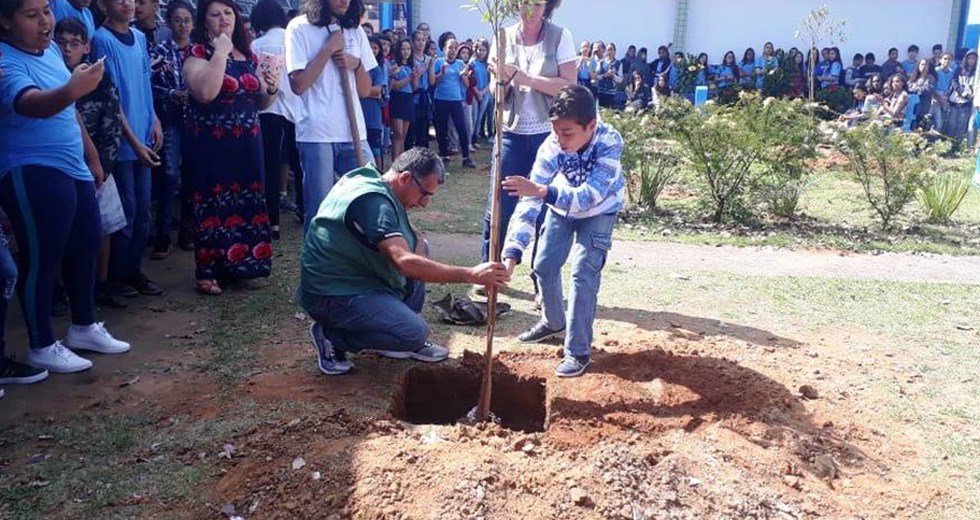 Semana da Árvore  plantios realizados na escola municipal 25 09 2018