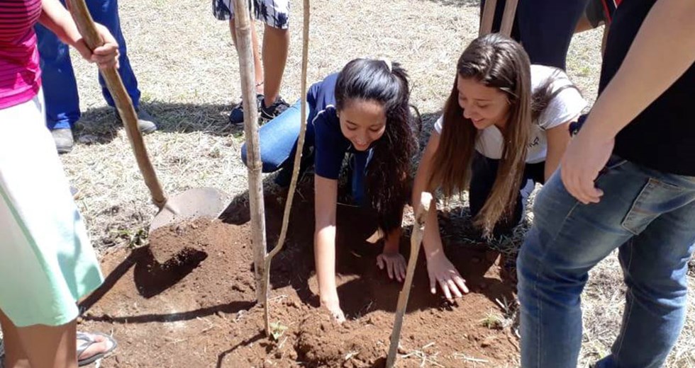 Semana da Árvore  plantios realizados na escola municipal 25 09 2018
