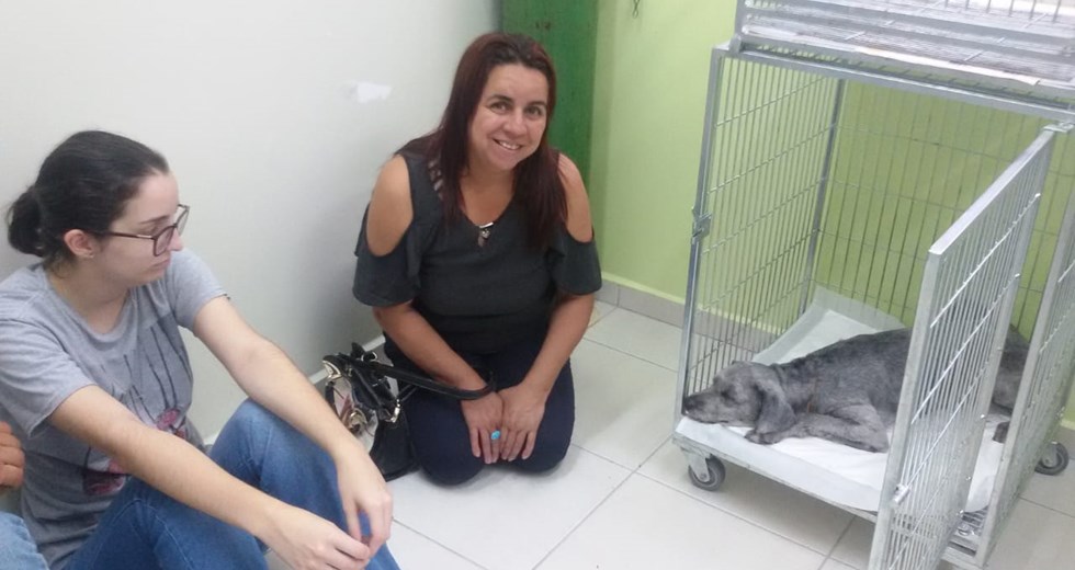 Castração de Cães e Gatos no CCZ  28 09 2018
