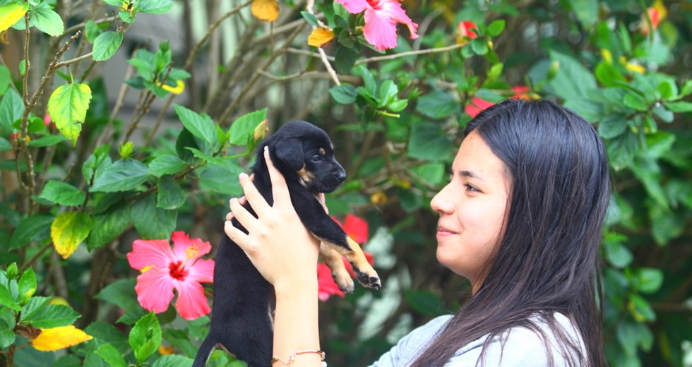 A Prefeitura de São José dos Campos realizou neste sábado (29), a 9ª edição da Feira de Adoção de Cães e Gatos, promovida pelo CCZ (Centro de Controle de Zoonoses). Foto: Claudio Vieira/PMSJC. 29-09-2018