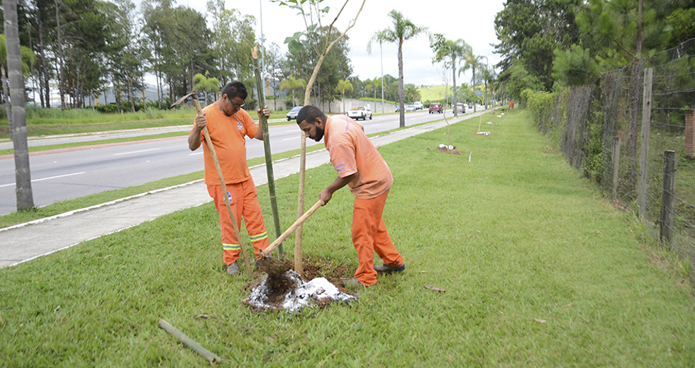 plantio-de-arvores-via-norte-20-12-2019-lucas-cabral-20.jpg