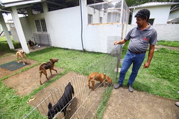 Feira de Adoção de Cães e Gatos, no CCZ. Foto: Claudio Vieira/PMSJC. 27-10-2018
