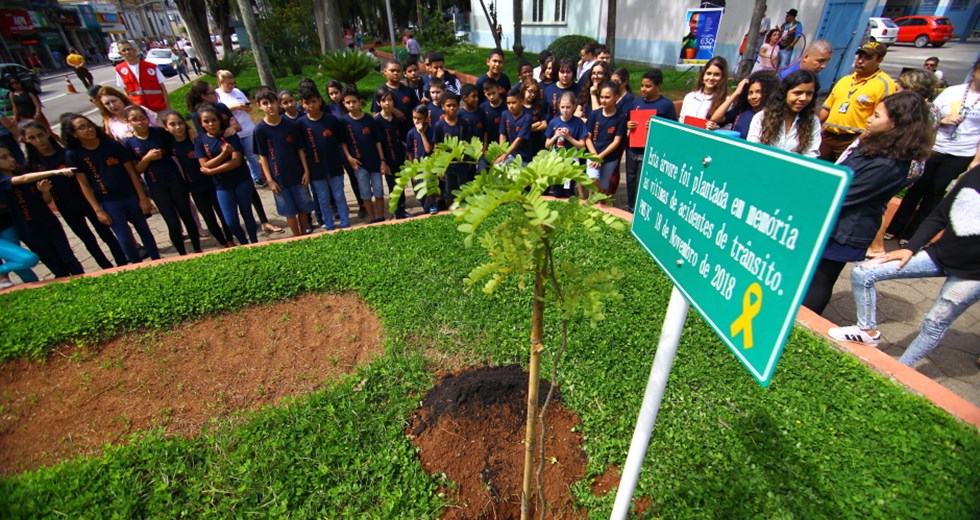 Plantio de árvore no Dia das Vítimas de Trânsito com a participação de alunos da Escola Olímpio Catão. Foto: Claudio Vieira/PMSJC. 14-11-2018