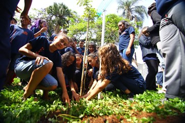Plantio de árvore no Dia das Vítimas de Trânsito com a participação de alunos da Escola Olímpio Catão. Foto: Claudio Vieira/PMSJC. 14-11-2018