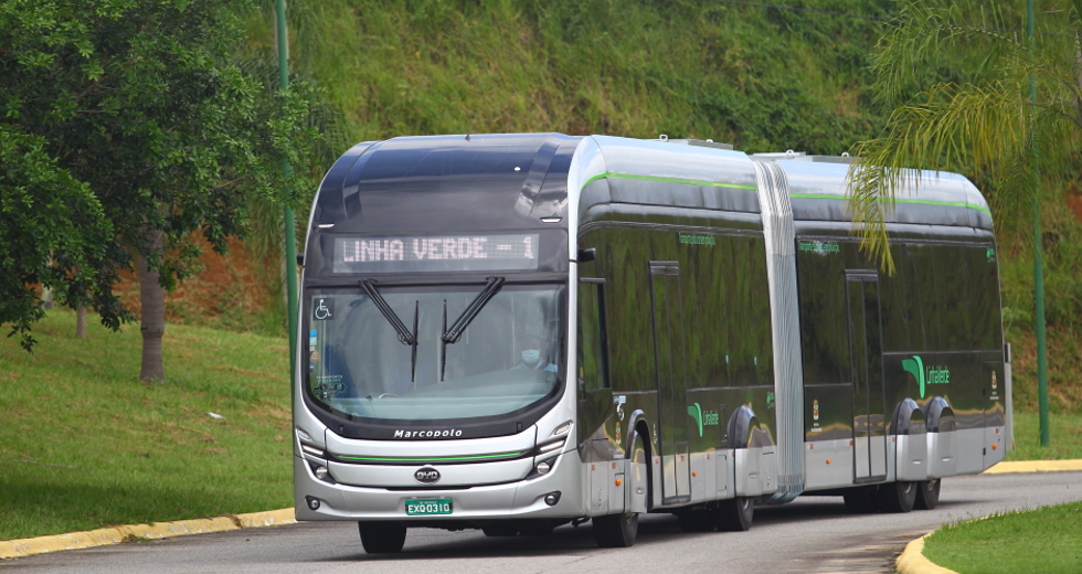 cv__6486_claudio_vieira.jpg