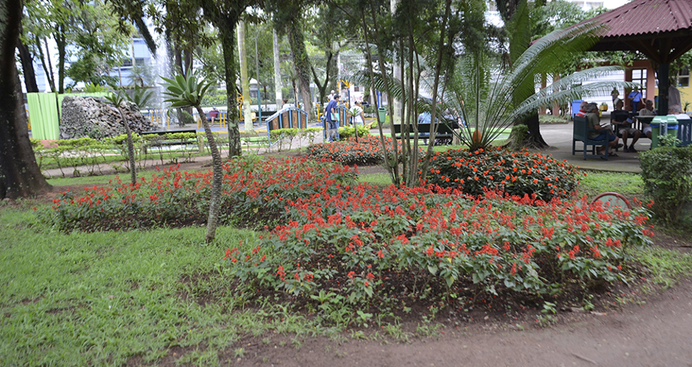 paisagismo-parque-santos-dumont-12-12-2019-lucas-cabral-35.jpg