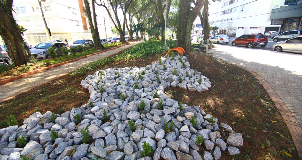 cv__6762_claudio_vieira.jpg