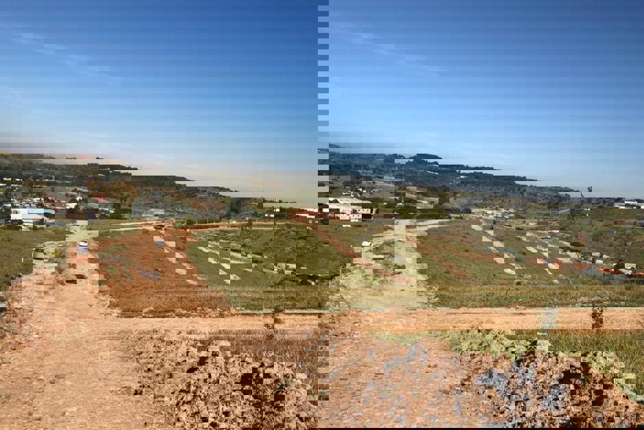 observa-4.jpeg