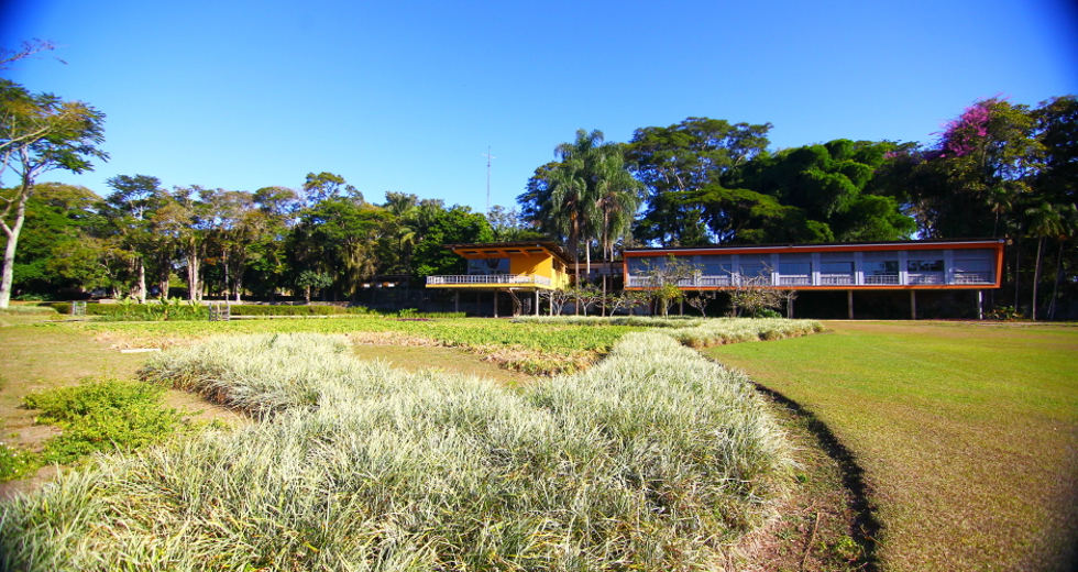 cv__8703_claudio_vieira.jpg