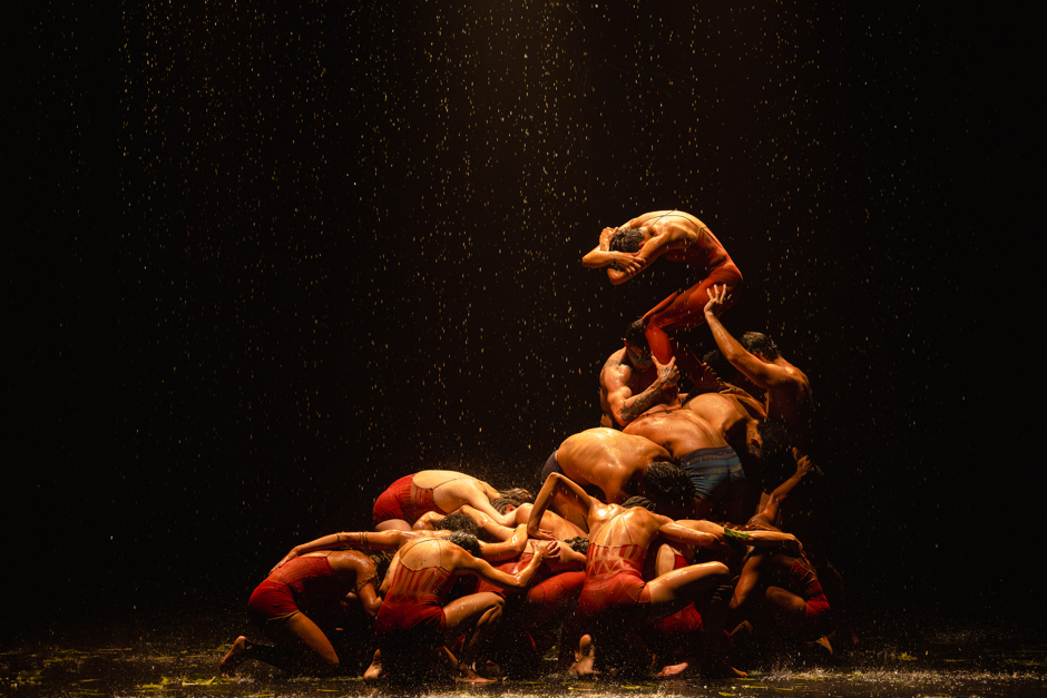 Curitiba Companhia de Dança