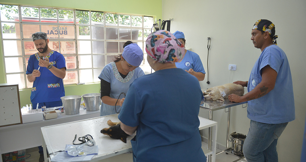 castracao-meu-pet-feliz-ccz-09-05-2019-lucas-cabral-09.jpg