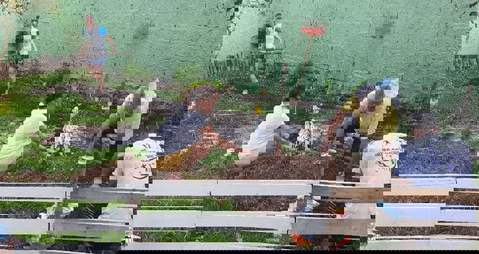 horta-no-bosque-3.jpeg