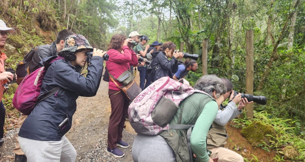 Festival reúne observadores de aves em São Francisco Xavier