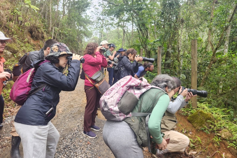 Festival reúne observadores de aves em São Francisco Xavier