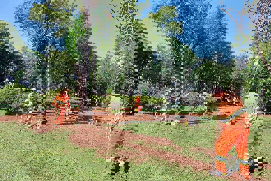 21500a3d-7c44-4e08-9f78-4e7faf85ebdb.jpg