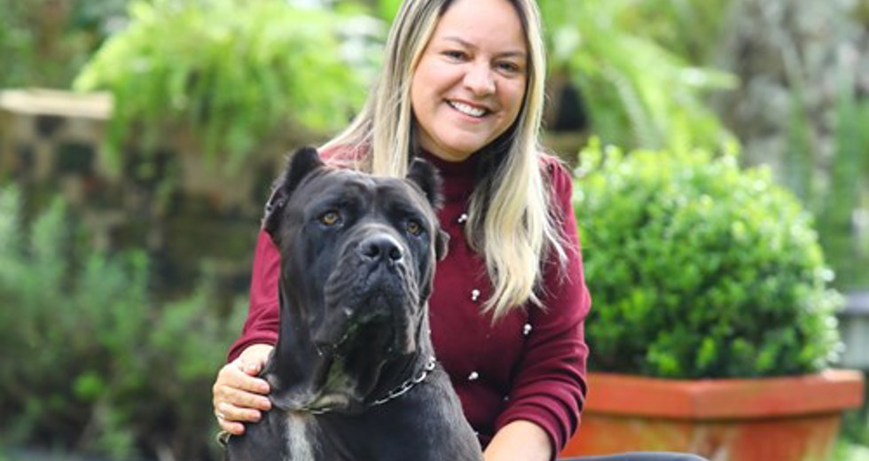 40ª fase do Meu Pet Feliz
