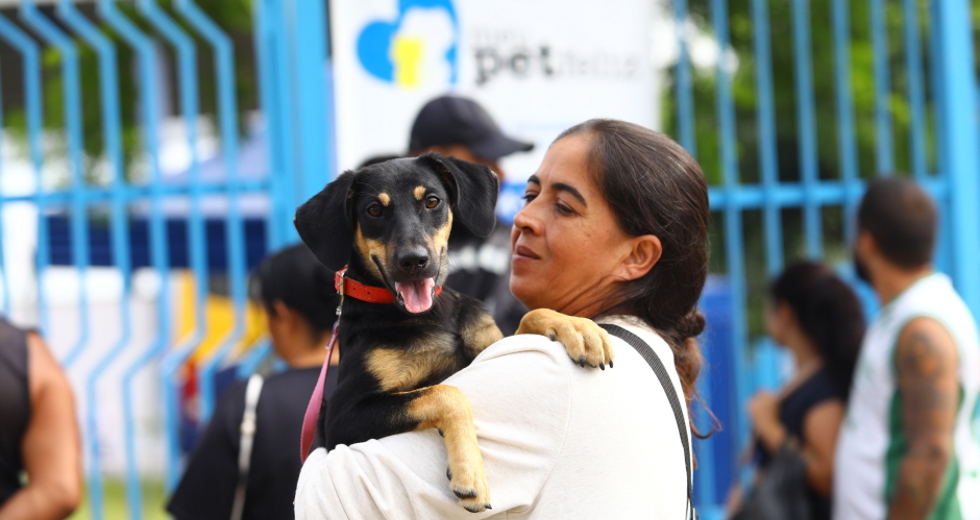 As inscrições começam na sexta-feira (11); os procedimentos são gratuitos e serão realizados na Emefi Mercedes Rachid Edwards neste domingo (13)