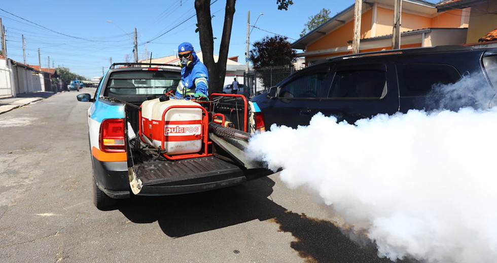 dengue6.jpg