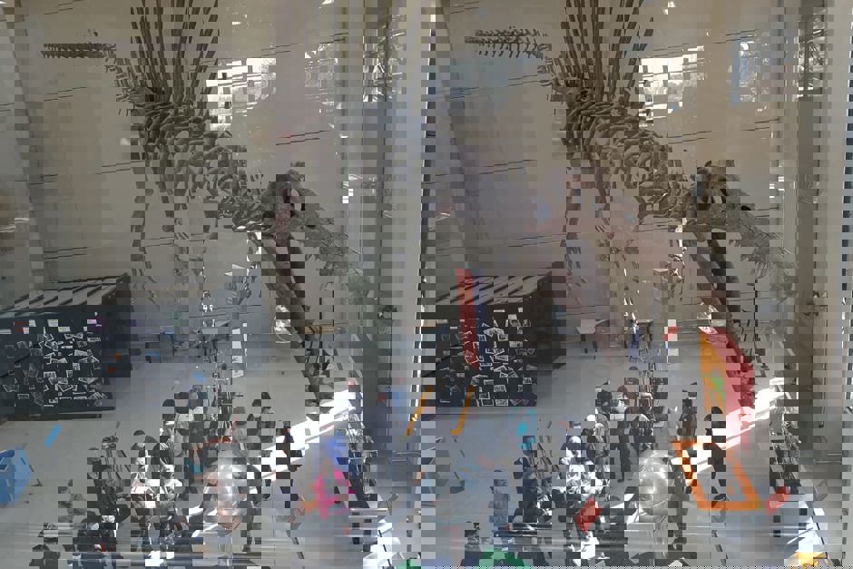 mic11.jpeg