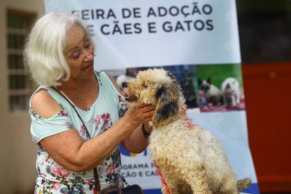 Feira de Adoção de cães e gatos. Fotos: Claudio Vieira/PMSJC. 24-11-2018