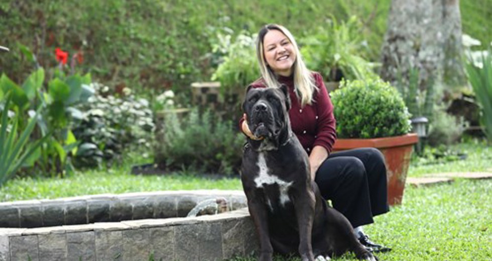 40ª fase do Meu Pet Feliz