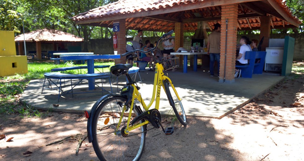Bikes Yellow  no DCTA  09 01 2019