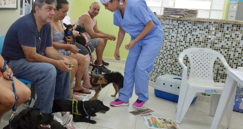 CCZ castração de cães e gatos  11 01 2019