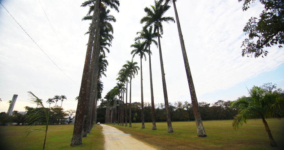 cv__7285_claudio_vieira.jpg