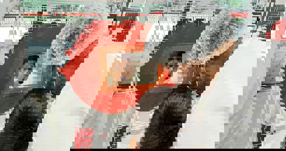 odonto41.jpeg